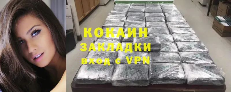 mega маркетплейс  Великий Устюг  COCAIN Fish Scale  как найти закладки 