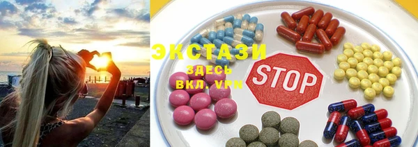 шишки Лабытнанги