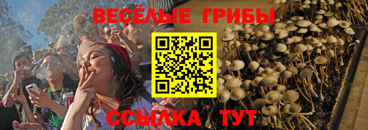 Псилоцибиновые грибы мицелий  Псилоцибиновые грибы Magic Shrooms  Великий Устюг  Вход с VPN 