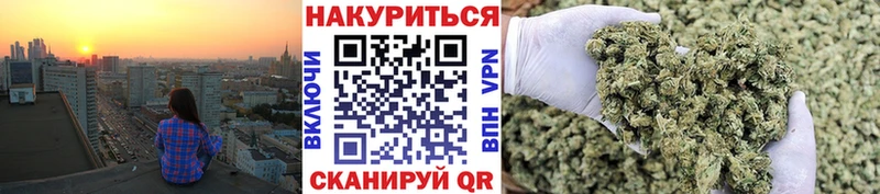 Бошки марихуана индика  где продают наркотики  Великий Устюг 